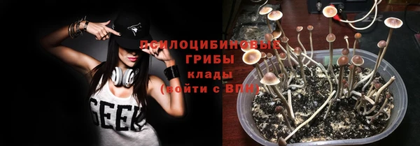 мяу мяу мука Беломорск