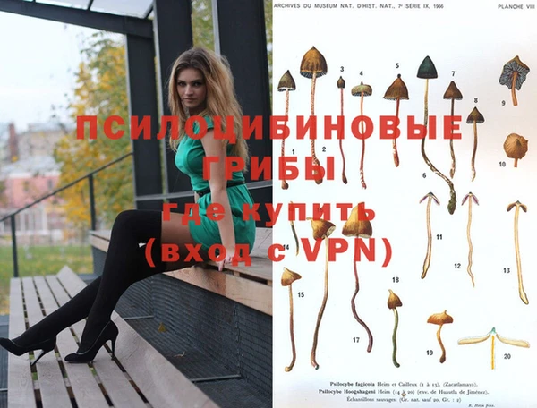 не бодяженный Сясьстрой