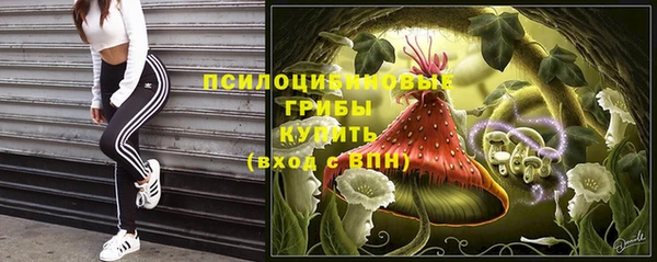 мяу мяу мука Беломорск