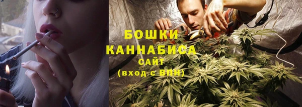 винт Тайга