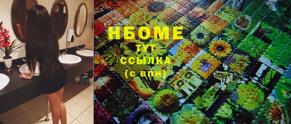 индика Балахна