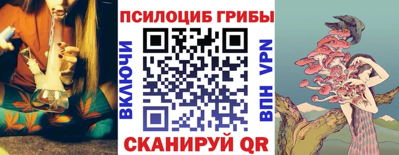 наркошоп  Комсомольск  Псилоцибиновые грибы Cubensis 